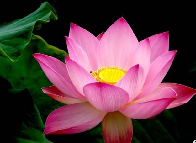 济南首辆地铁长这样紫