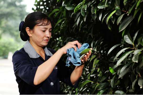 济南龙湖·春江郦城A